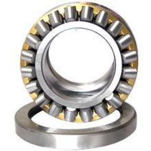 45 mm x 100 mm x 36 mm  FAG NJ2309-E-TVP2  Cylindrical Roller Bearings #1 image